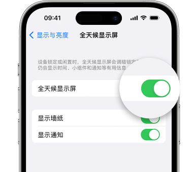 辽阳苹果15预约维修分享iPhone15如何设置全天候显示屏幕可见 